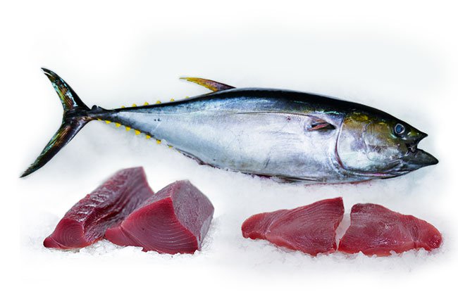 Tuna Fish - N&N Super Seafood